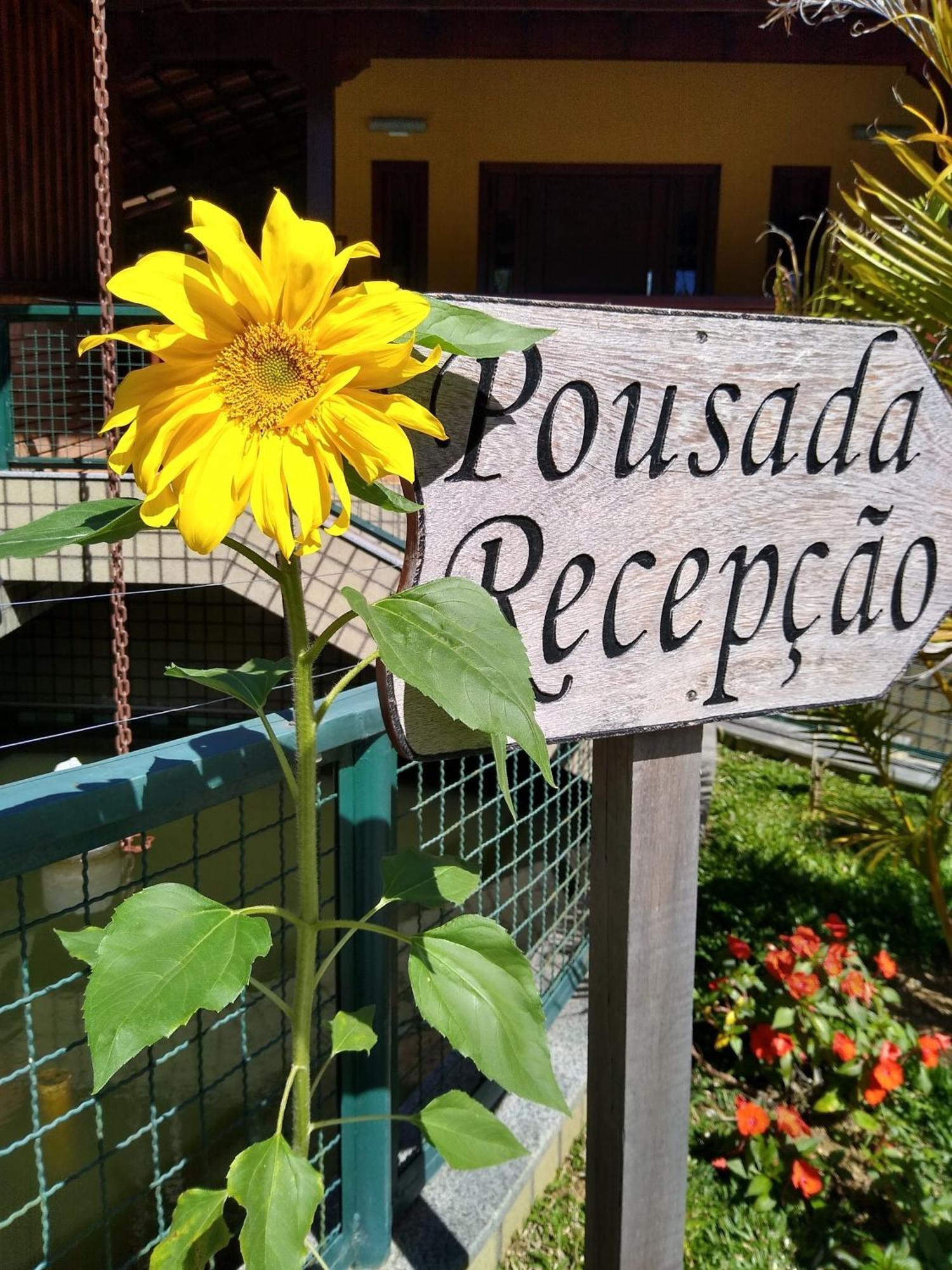 Pousada Recanto Das Flores Nova Friburgo Exteriör bild